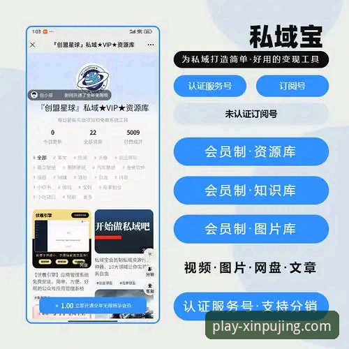 新莆京平台手机版 vs 网页版：哪个更适合你的移动体验？